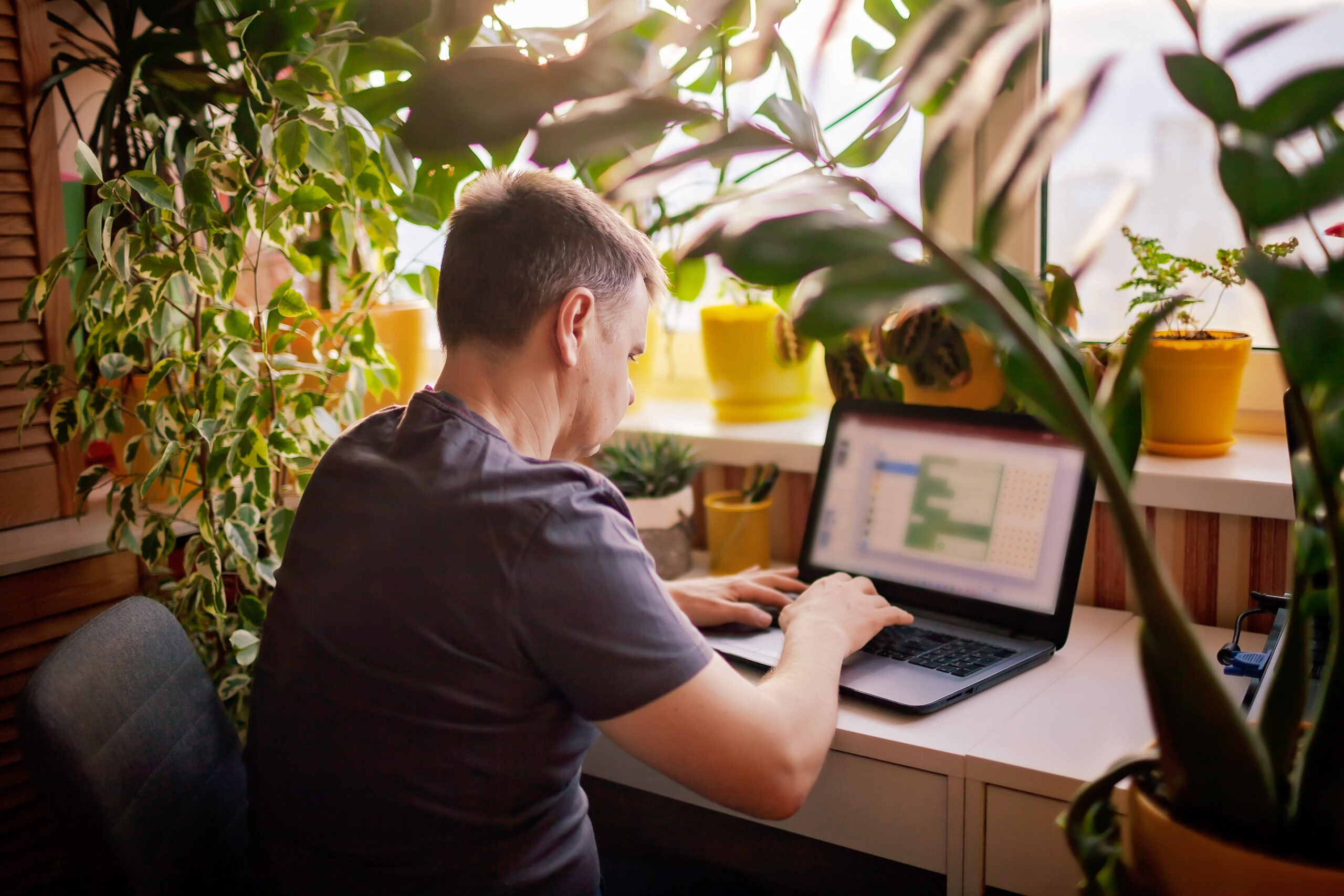 WFH Environment